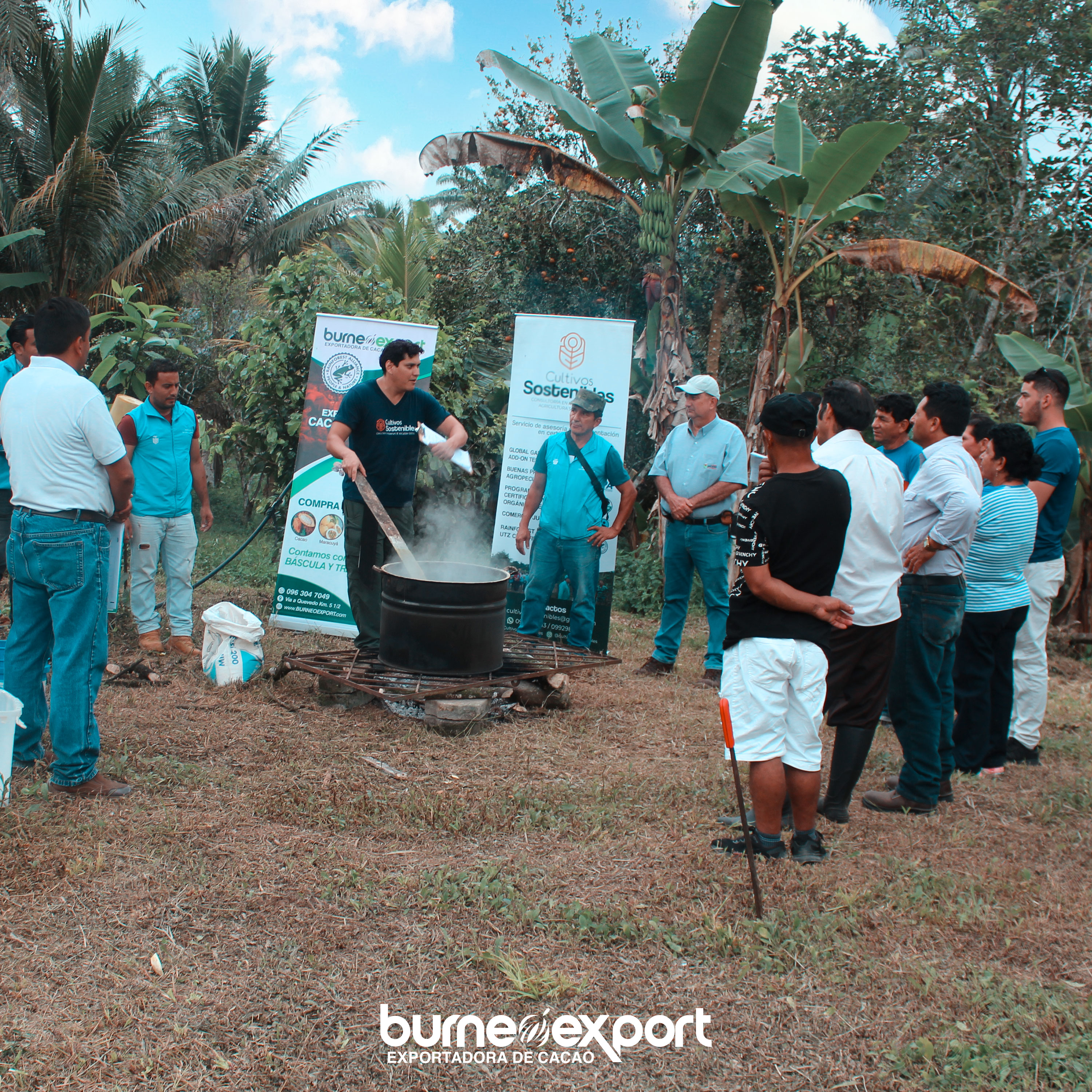 Cursos agrícolas